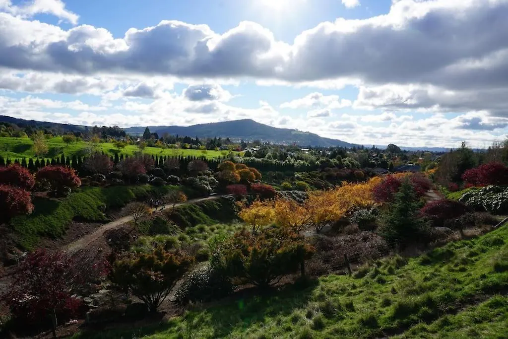 Aww Sheep-Uninterrupted Panoramic View With Spa Rotorua